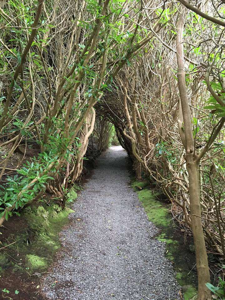 Carrig Country House & Restaurant Killorglin สิ่งอำนวยความสะดวก รูปภาพ